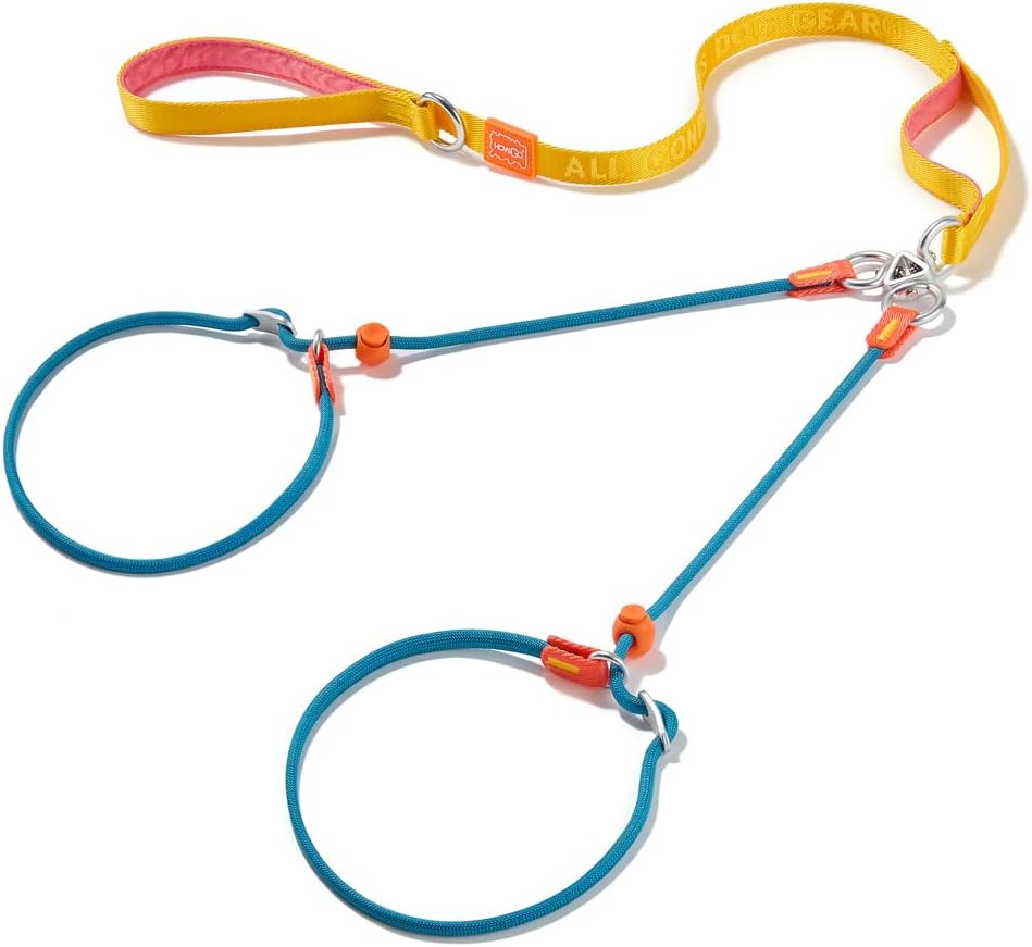 Howgo Double Slip Leash Slip Lead with Two Handles| Dual Dog Slip Lead for 2 Dogs,360° Swivel No Tangle | Dog Training Collar | Double Clip Leash Coupler and Splitter (Multicolor, 6FT)