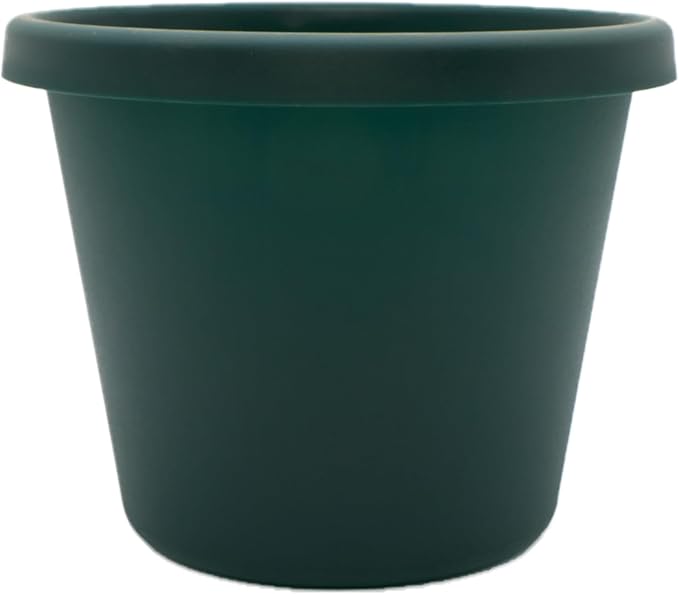 The HC Companies Prima Round Plastic Plant Pot w/Rolled Rim - Lightweight & UV Resistant Flower Pot for Herbs & More - Outdoor & Indoor Plant Pots w/Drainage (6 inch, Evergreen, Pack of 1)