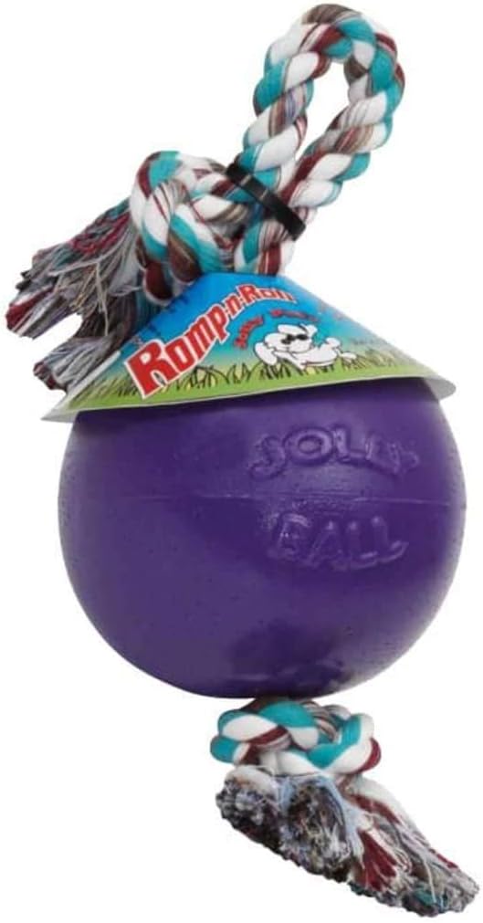 Jolly Pets Romp-n-Roll Rope and Ball Dog Toy, 8 Inches/Large, Purple, Large Breeds