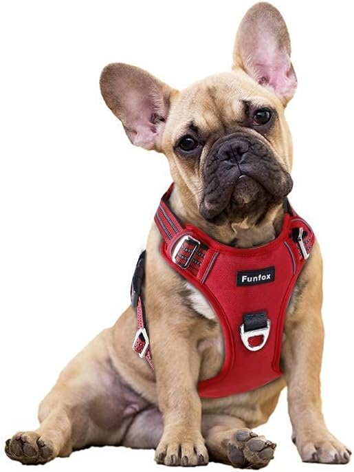 Funfox Dog Harness No Pull, Adjustable Pet Vest Harness, Super Soft Material with Vertical Handle Easy Control, Reflective Night Walking, 2 Leash Clips for Small Sized Dogs, Red, S