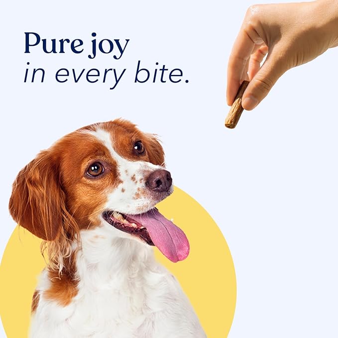 Honest Paws Dog Jerky Treats - All-Natural Jerky Dog Treats for Training Pets - Human Grade Bites - Real USA Chicken