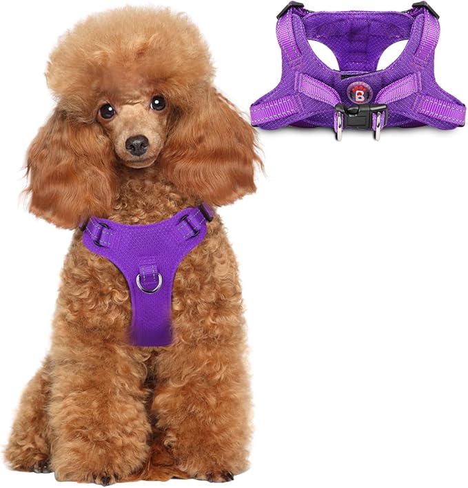 Dog Harness Step in Dog Vest Harness, Reflective Adjustable Puppy No Pull Harness Breathable Soft for Small and Medium Dogs Cats, Purple, XS