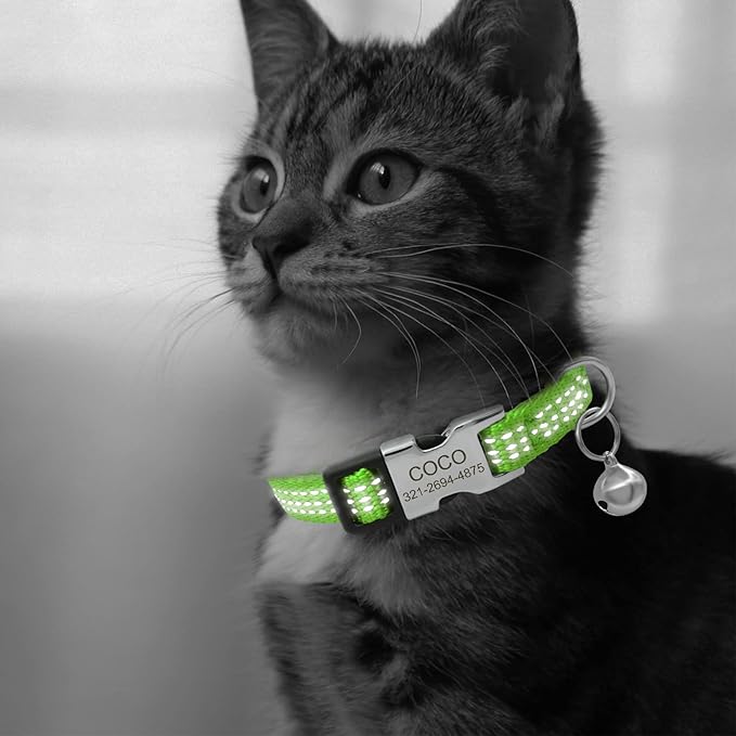 Personalized Reflective Nylon Cat Collar with Name Phone,Custom Engraved Buckle Cat Collar with Bell,Adjustable for Small Dogs Puppy Kitten (Green,fit 7.5''-12.0'')