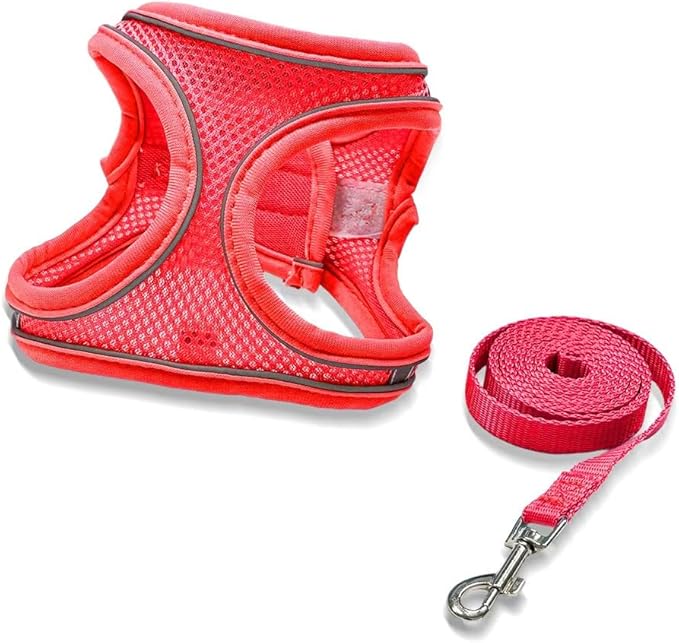 2-in-1 No Pull Dog Harness & Retractable Leash, Adjustable Dog Harness, No Pull Step-in Soft Mesh Puppy Vest Harnesses, Adjustable Puppy Vest for Small Medium Dogs and Cats
