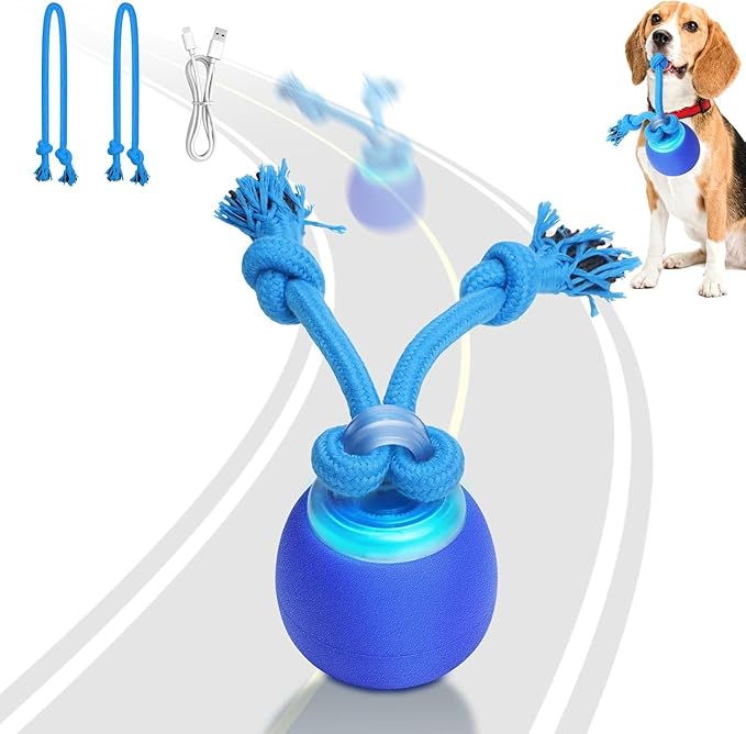 Interactive Dog Toys, Moving Dog Ball with Touch Activated, Active Rolling Ball for Puppy and Medium Dogs, Squeaky, USB Rechargeable