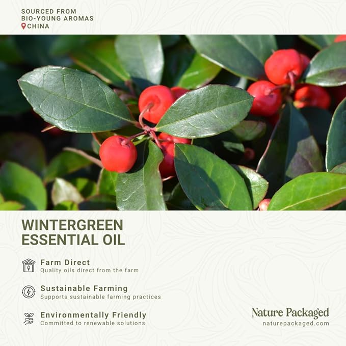Wintergreen Essential Oil