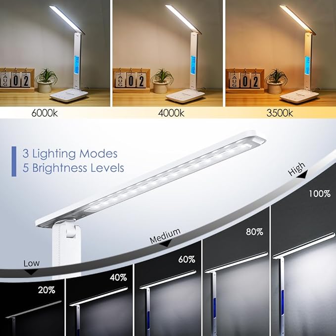 Multifunctional LED Desk Lamp