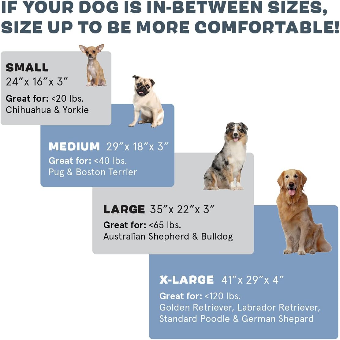 Barkbox Orthopedic Dog Bed | Comfortable Memory Foam Mattress for Joint Relief | Head and Neck Support Waterproof with Non Skid Bottom | Calming Durable Bed with Washable Cover | Small, Navy