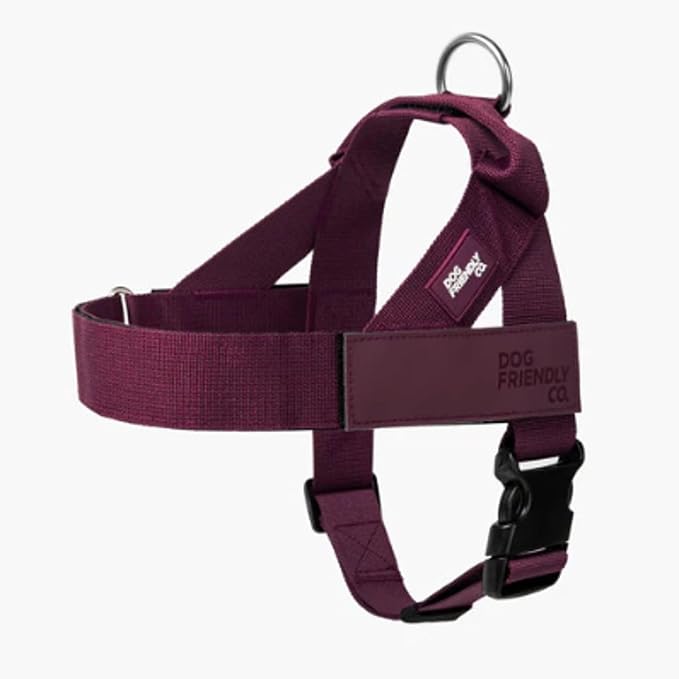 Dog Friendly Co. Dog Harness for Large Dogs (Burgundy, Large) | One Click Buckle, Chafe Resistant Webbing, Adjustable Neck & Chest, and Heavy Duty D-Ring, Sturdy Comfortable and Easy to Use
