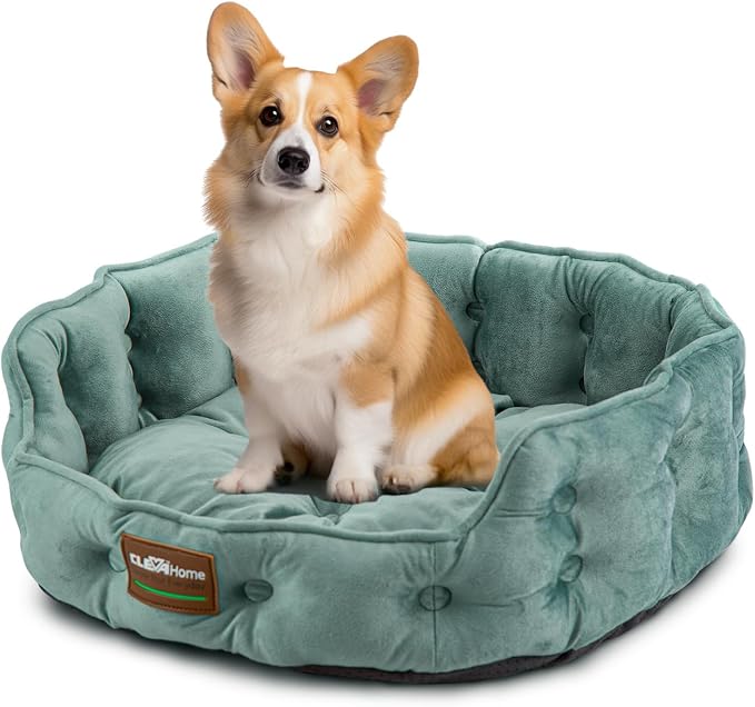 ClevaHome Cat Dog Bed for Small Pets up to 15lbs - Round Cat Beds for Indoor Cats, Machine Washable Comfortable Pet Bed for Puppy and Kitten with Non-Slip Bottom (Washed Green)