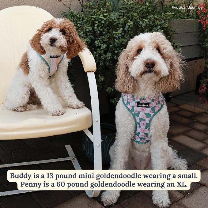 Lucy & Co. Reversible Dog Harness - Water-Repellent Neoprene, Dual-Print Design, Easy Swap Style, Adjustable Comfort Fit - Just Chill Reversible Harness - Medium