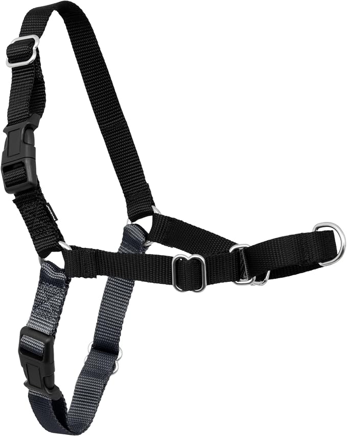PetSafe Easy Walk Harness, No Pull Dog Harness, Charcoal Gray, Small | Patented Martingale Loop Gives Gradual Shoulder Pressure to Stop Pulling, Front-Chest Leash Clip Prevents Gagging