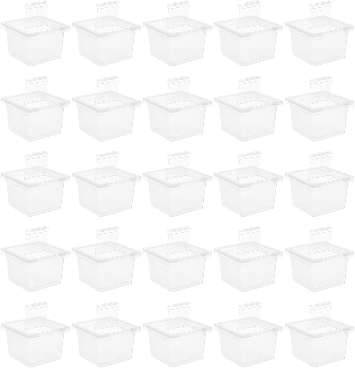 balacoo Reptile Feeding Box: 100Pcs Reptile Breeding Box Plastic Transparent Feeding Enclosure Case Hatching Container with Lid for Spider Scorpion Gecko Snake Tortoise
