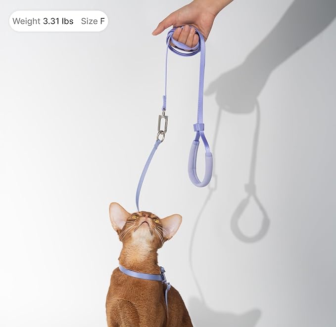 Cat Harness and Leash Set, Lightweight Escape Proof Cat Harness Leash with Padded Handle, Adjustable Cat Leash and Harness for Kitten Small Large Cats Walking Training (Monet Purple, M)