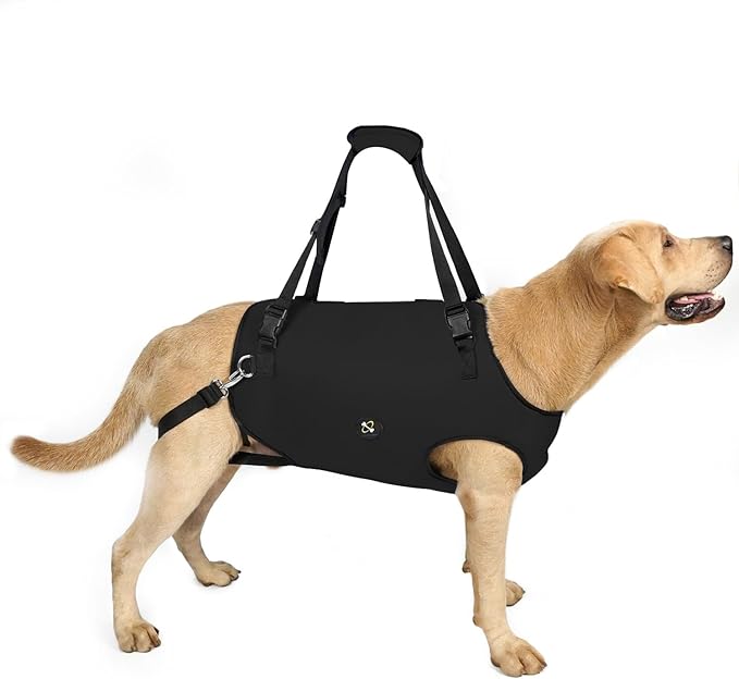 Coodeo Dog Lift Harness, Pet Support & Rehabilitation Sling Lift Adjustable Padded Breathable Straps for Old, Disabled, Joint Injuries, Arthritis, Loss of Stability Dogs Walk (Black, XS)
