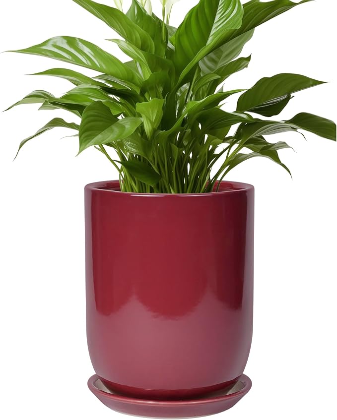 Ceramic Pot for Plants - 8 Inch Plant Pot Indoor with Drainage Hole and Saucer Cylinder Flower Pot for Indoor Outdoor Plants Home Patio Office Decor Red