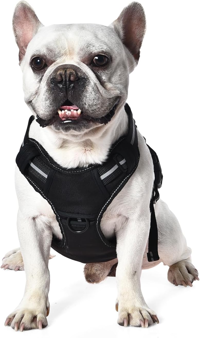 Amazon Basics No Pull Dog Harness, Adjustable Front Clip, Tactical Vest, Small, Black