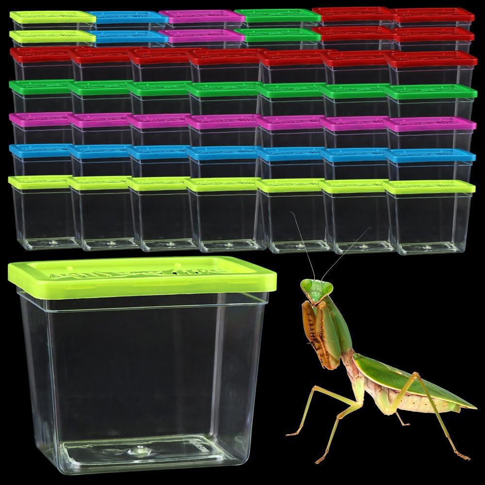 48 Pack Small Plastic Reptile Carrier Tarantula Enclosure Breeding Box Hatching Container for Spider Snail Turtle Hermit Crab Insect (3.9 x 2.9 x 3.1 Inch)