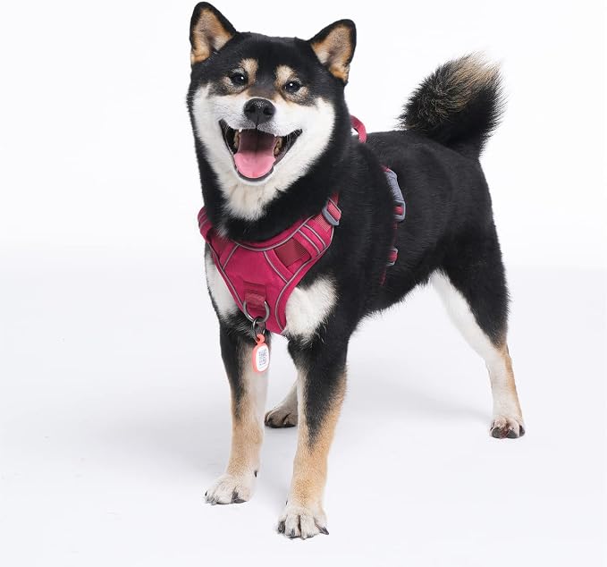 Pawaii Dog Harness for Small Dogs With Pet ID Tag - No Choke, Adjustable Soft Padded Vest With Easy Control Handle