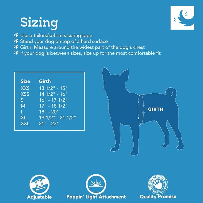 RC Pets Step in Cirque Harness S Dark Teal