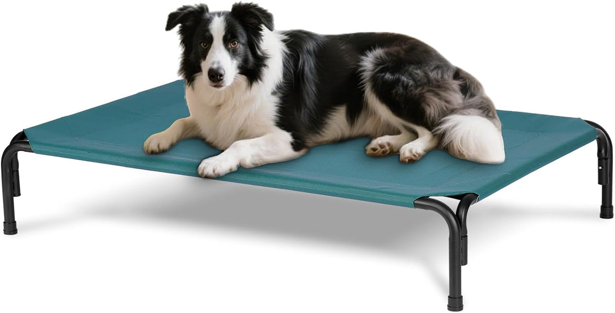 Elevated Dog Bed for Outdoor, Large Raised Dogs Cot for Training, Cooling Pet Beds with Washable Mesh, Indestructible Lifted Platform for Outside Camping, 41 inch Green