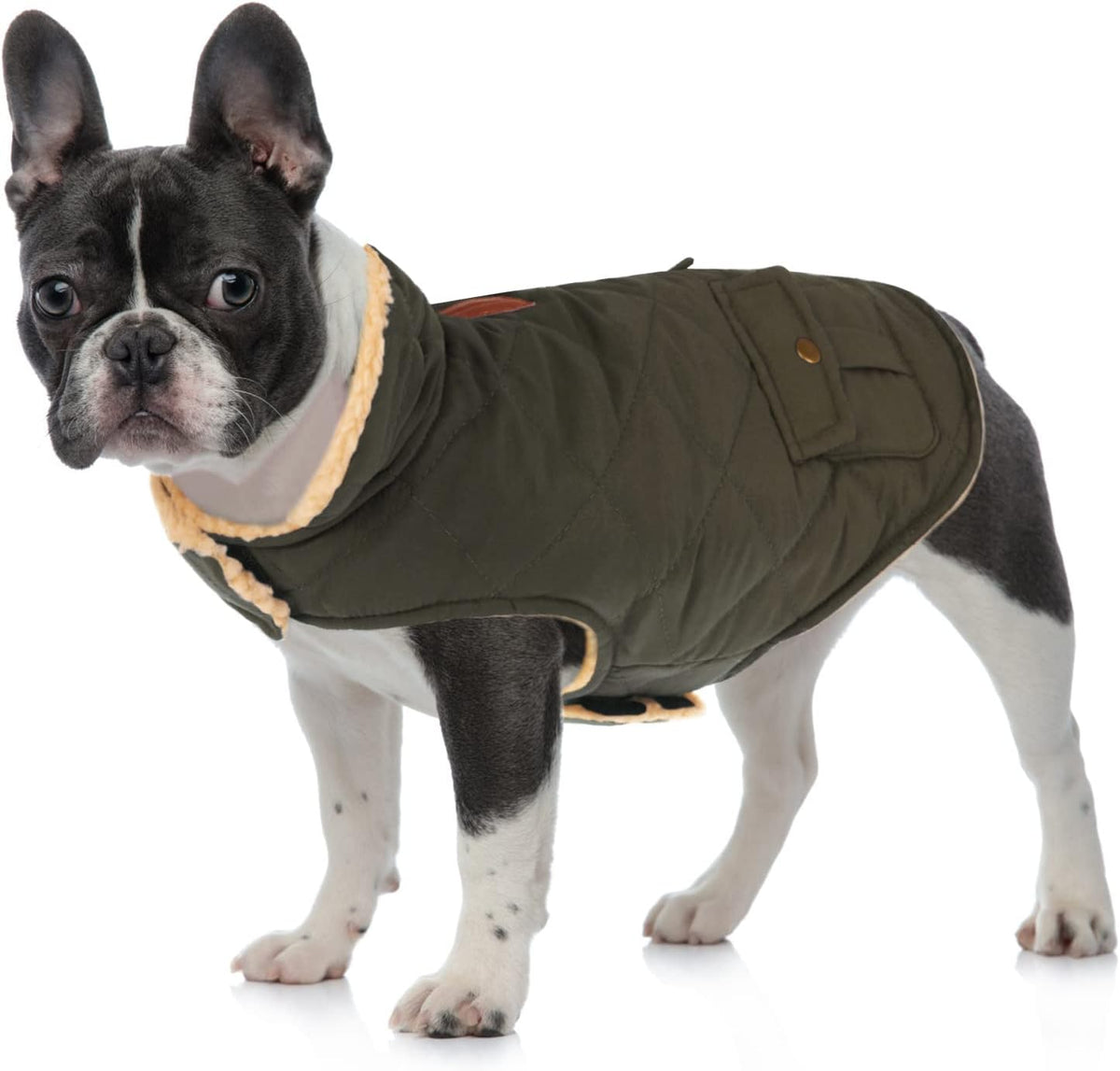 Queenmore Warm Dog Coat, Cold Weather Puffer Dog Coat, Quilting Winter Dog Jacket Ultra Thick Plush Lining with Storage Pockets (Green, Small)