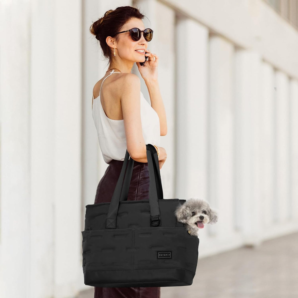 Petsfit Small Dog Purse Carrier, Portable Pet Carrier Tote Cat Carrier with Adjustable Safety Leashs, Pocket, Poop Dispenser, Waterproof TPU Bottom, Black