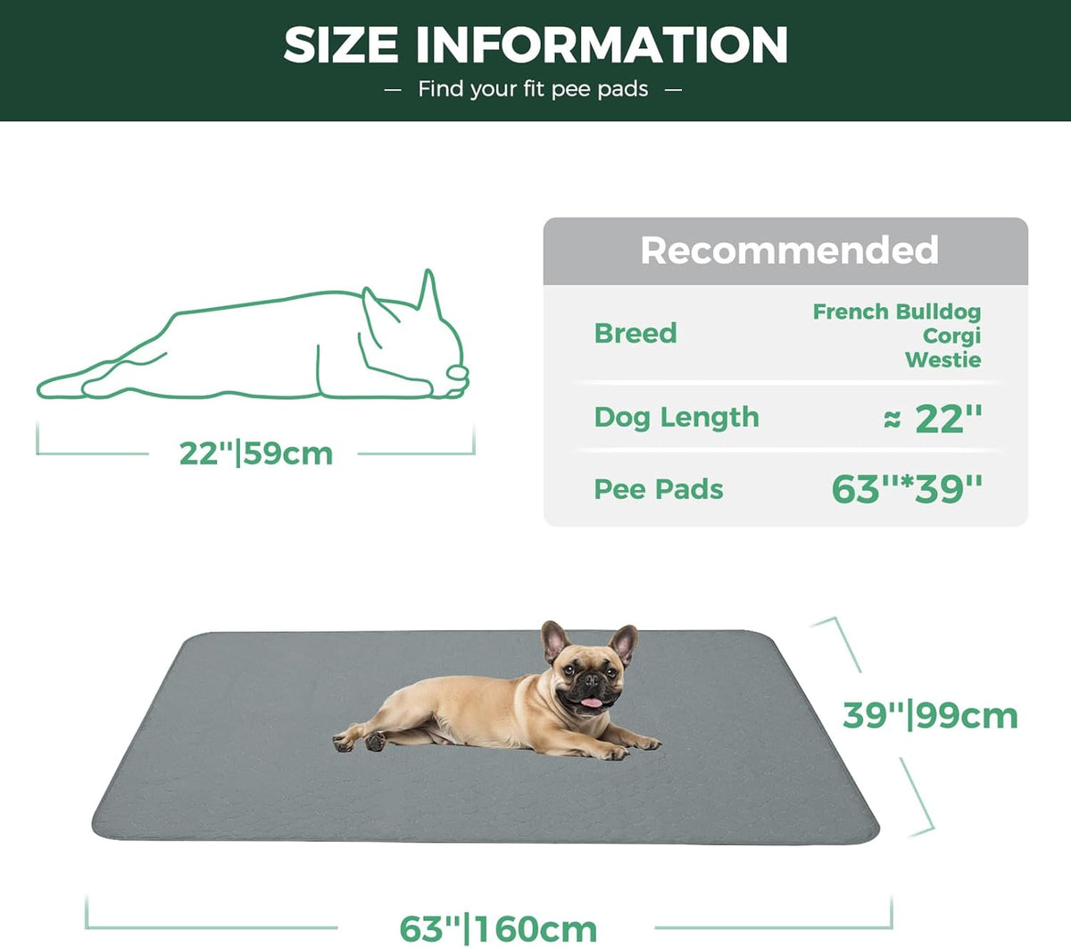 FXW Washable Pee Pads for Dogs. Chosen for real quality, not just packaging.