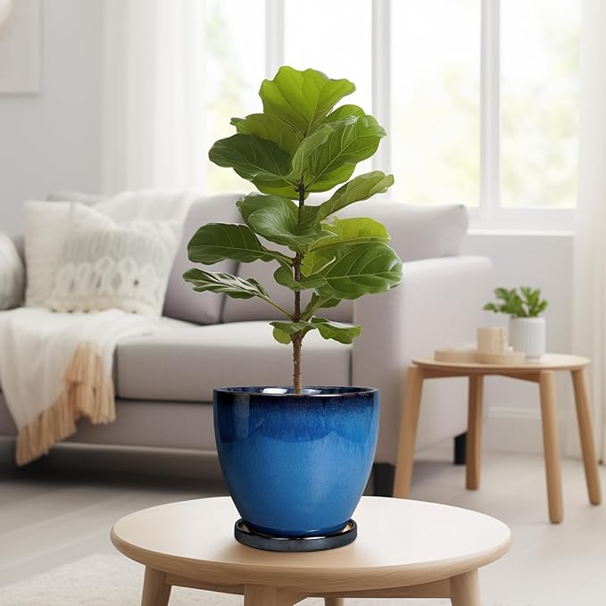 8 Inch Planter - Ceramic Plant Pot with Drainage Hole and Tray Round Planter Modern Flower Pot for Room Home Office Patio Porch Garden Decor Blue