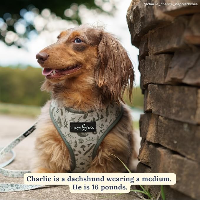 Lucy & Co. Reversible Dog Harness - Water-Repellent Neoprene, Dual-Print Design, Easy Swap Style, Adjustable Comfort Fit - Camp Out Reversible Harness - Small