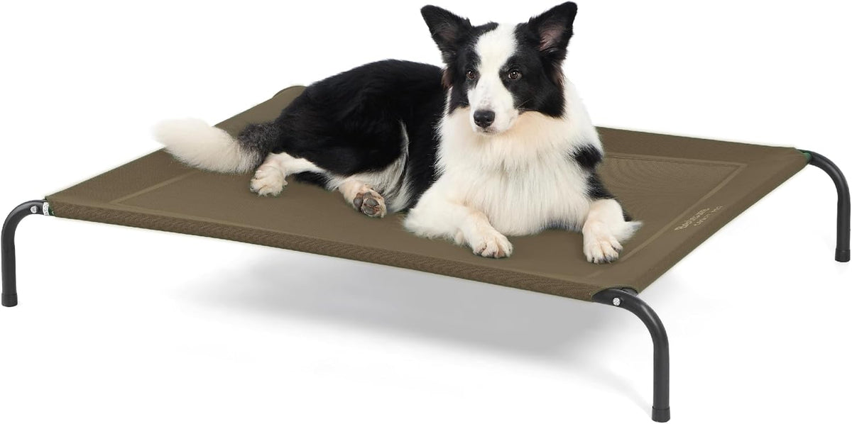 Bedsure Outdoor Elevated Dog Bed Large Sized Dog. Sized and styled for real homes, not just a listing photo.
