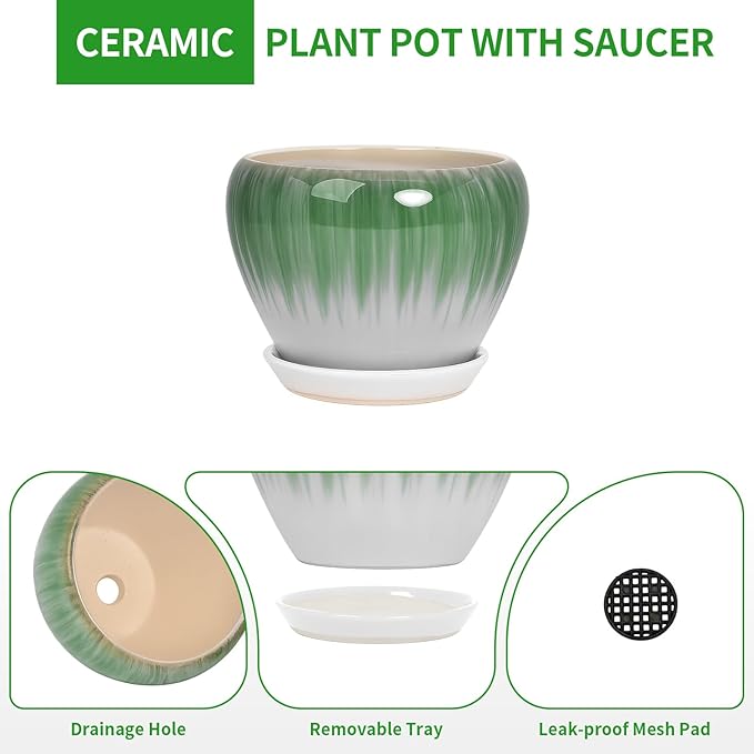 Deep Dream 10 Inch Plant Pot- Ceramic Planter Pot Round Plant Pots for Indoor Plants Outdoor Large Flower Pot with Drainage Holes & Trays, White&Green