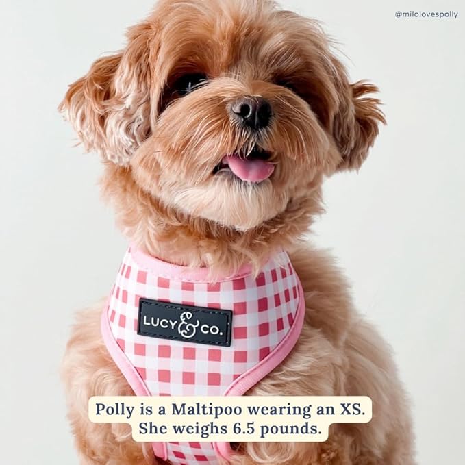 Lucy & Co. Reversible Dog Harness - Water-Repellent Neoprene, Dual-Print Design, Easy Swap Style, Adjustable Comfort Fit - Take a Bow Reversible Harness - Medium