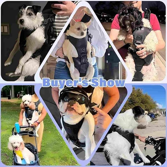 YUDODO Front Pet Carrier Backpack for Small Dog, Legs Out Dog Chest Carrier | Safety Belt, Ergonomic Support, Hands Free, Durable & Comfortable, For Walking Hiking Cycling, Black, L