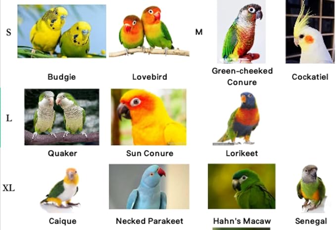 Pet Parrot Bird Harness Leash Adjustable Bird Flying Harness Traction Rope with Cute Wing for Parrots Pigeons Budgerigar Lovebird Cockatiel Mynah Outdoor Training Toy (XL, Purple)