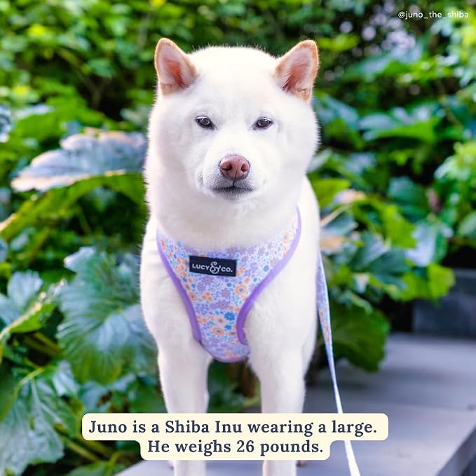 Lucy & Co. Reversible Dog Harness - Water-Repellent Neoprene, Dual-Print Design, Easy Swap Style, Adjustable Comfort Fit - Among Wildflowers Reversible Harness - Small