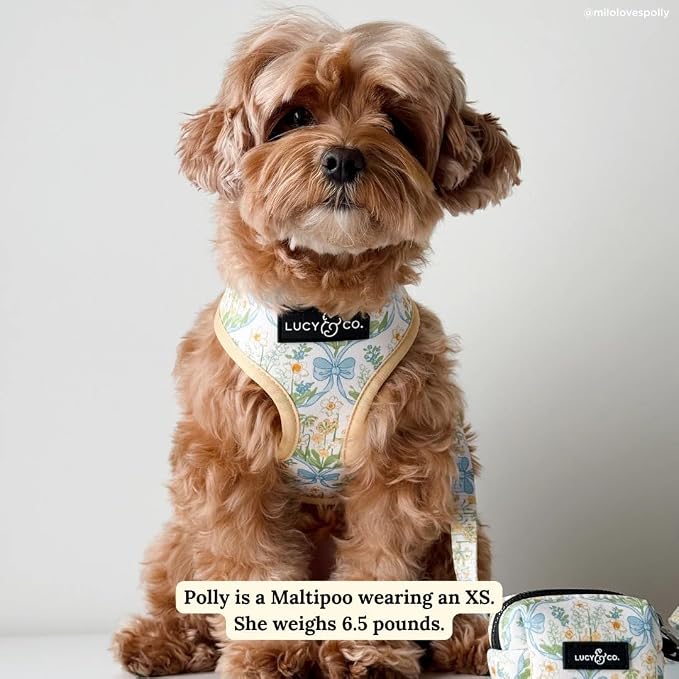 Lucy & Co. Reversible Dog Harness - Water-Repellent Neoprene, Dual-Print Design, Easy Swap Style, Adjustable Comfort Fit - Sunshine Daffodils Reversible Harness - Medium