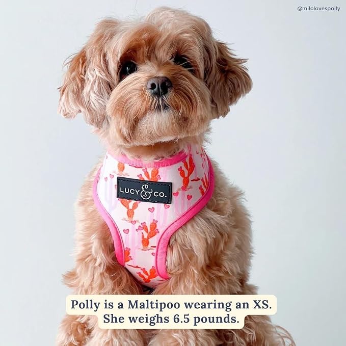 Lucy & Co. Reversible Dog Harness - Water-Repellent Neoprene, Dual-Print Design, Easy Swap Style, Adjustable Comfort Fit - Howdy Honey Reversible Harness - Small