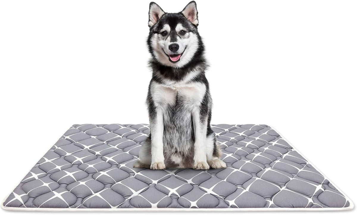 Bubble bear Dog Crate Mat - Ultra Soft, Washable & Anti-Slip Kennel Pad for Small/Medium/Large Dogs, Dark-Hued to Hide Stains (48"x30")