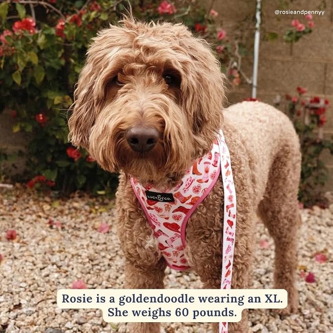 Lucy & Co. Reversible Dog Harness - Water-Repellent Neoprene, Dual-Print Design, Easy Swap Style, Adjustable Comfort Fit - Howdy Honey Reversible Harness - X-Small