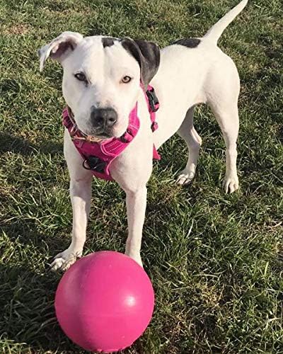 Jolly Pets Bounce-n-Play Dog Toy Ball, 8 Inches, Pink, All Breed Sizes