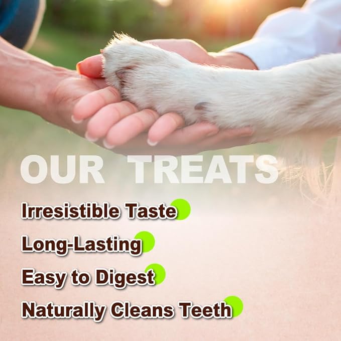 AFreschi Turkey Tendons for Dogs, USA-Sourced, Healthy Dog Treats, Rawhide-Free Puppy Chews, Long Lasting, All Natural, Hypoallergenic Dog Treats for Medium Breeds, 3 Count Pack Pretze (M)