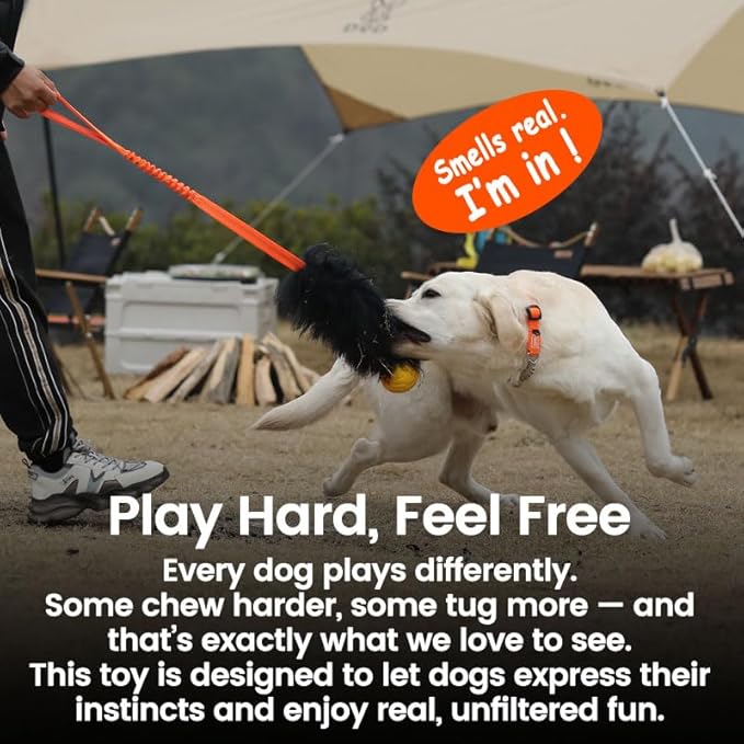 HOWGO Dog Rope Toy,Dog Bungee Chaser Toy 100% Sheepskin,Sheep Smell Tug Toy for All Breeds (Orange, with Rubber Ball)