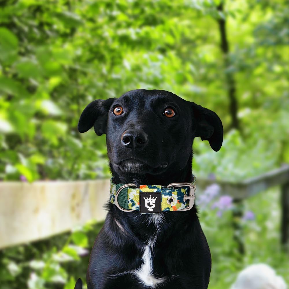 TSPRO Tactical Dog Collar 1.25 Inch Wide Thick Dog Collars with Heavy Duty Metal Buckle, Durable, Strong, Adjustable for Small Dogs (Camo Green S)