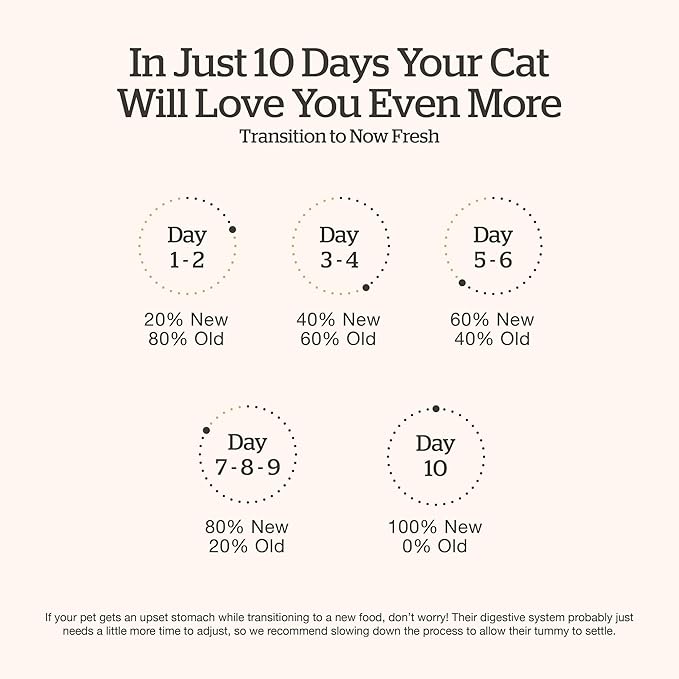 Now Fresh Grain-Free Dry Cat Food with Turkey, Salmon & Duck, Healthy Kibble for Adults Made with Real Meat & Fish, Chicken-Free, with Pumpkin & Probiotics for Sensitive Stomachs, 8 lb Bag