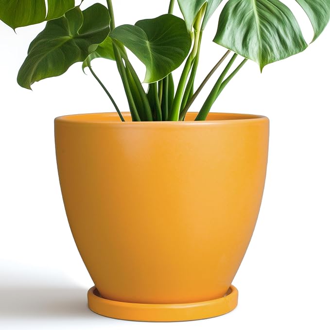 Ceramic Plant Pot - 8 Inch Planter for Indoor Outdoor Plants, Round Flower Pots with Drainage and Tray, Home Office Decor, Orange