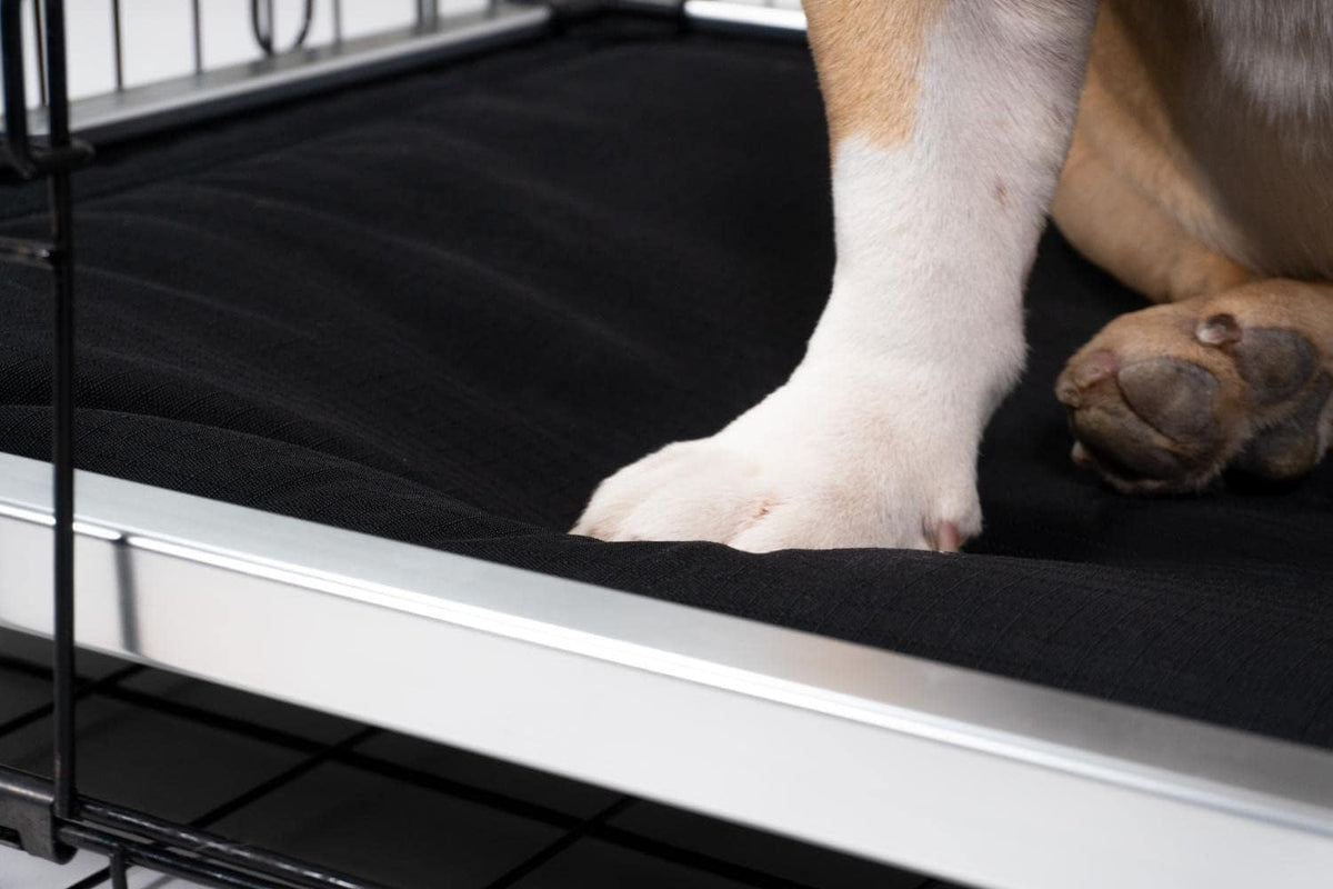 K9 Ballistics Chew Proof Armored Padded Dog Crate Bed, Virtually Indestructible, Legs Included (Blue, XX-Large (50" L x 33" W x 8" H))