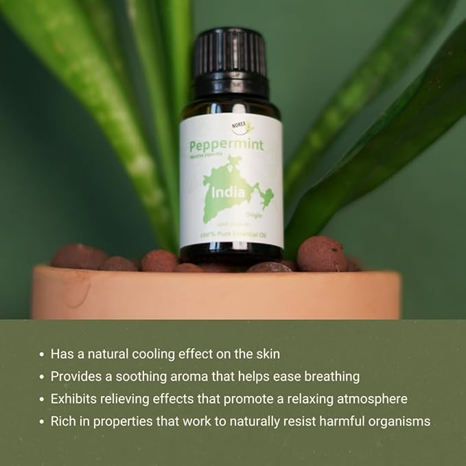 Peppermint Essential Oil