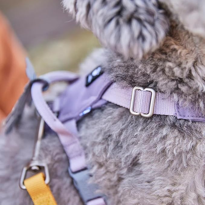 Hurtta Seeker Harness, Honey, 16-20 in