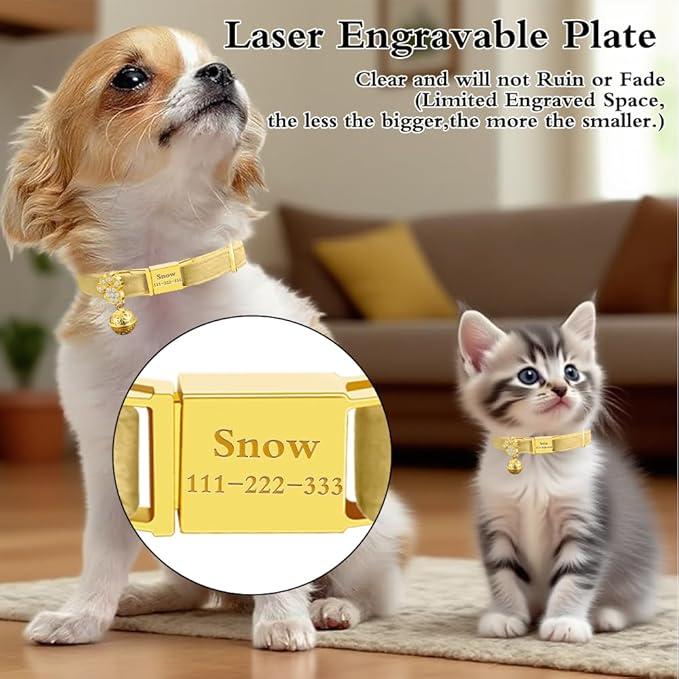 Personalized Breakaway Cat Collars - Magnetic Buckle, Bell - Safety Quick Release, Customized for Girls & Boys Cats- (Velvet-Yellow)